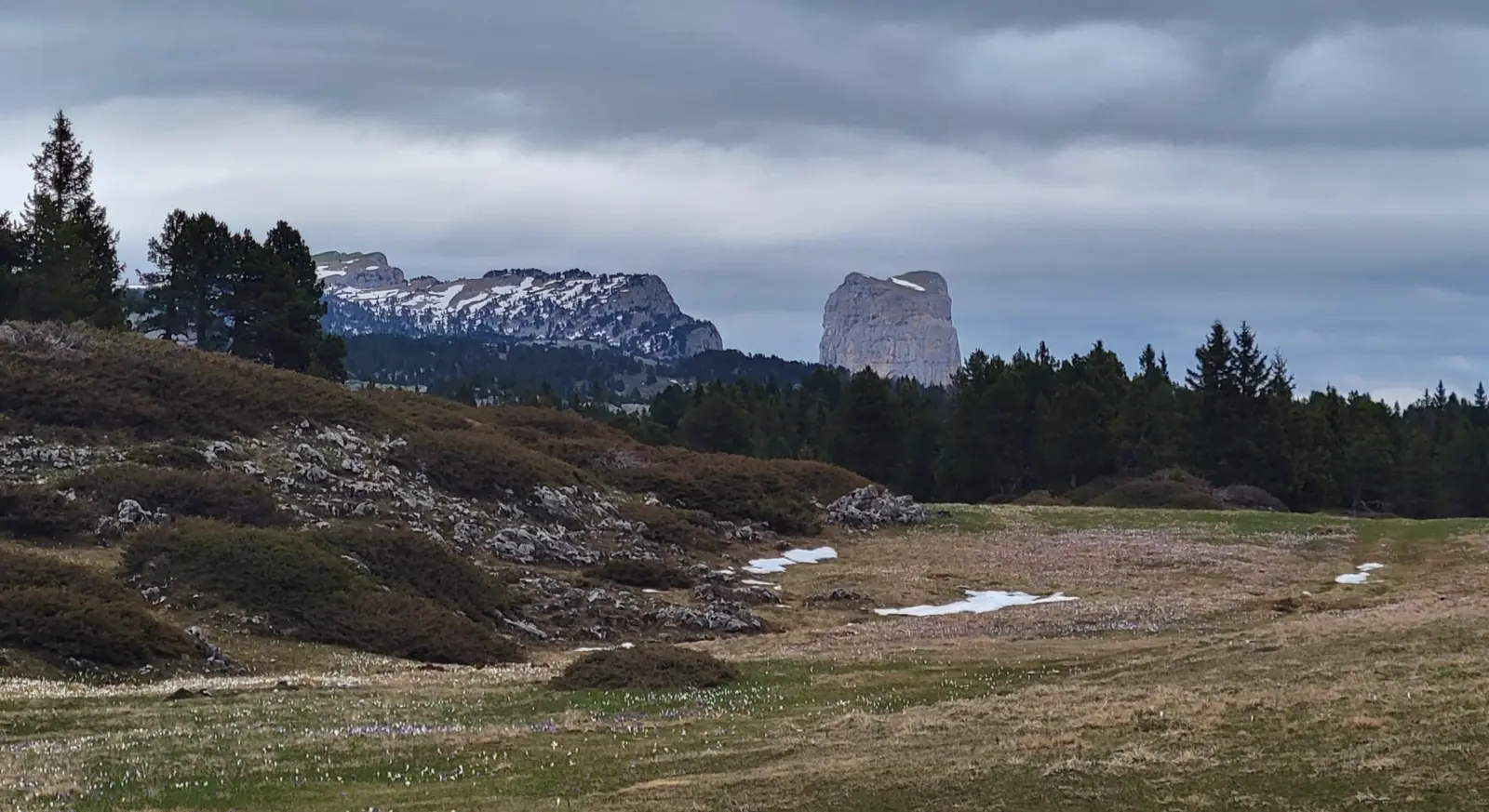 Immersion primale entre Vercors et Drôme