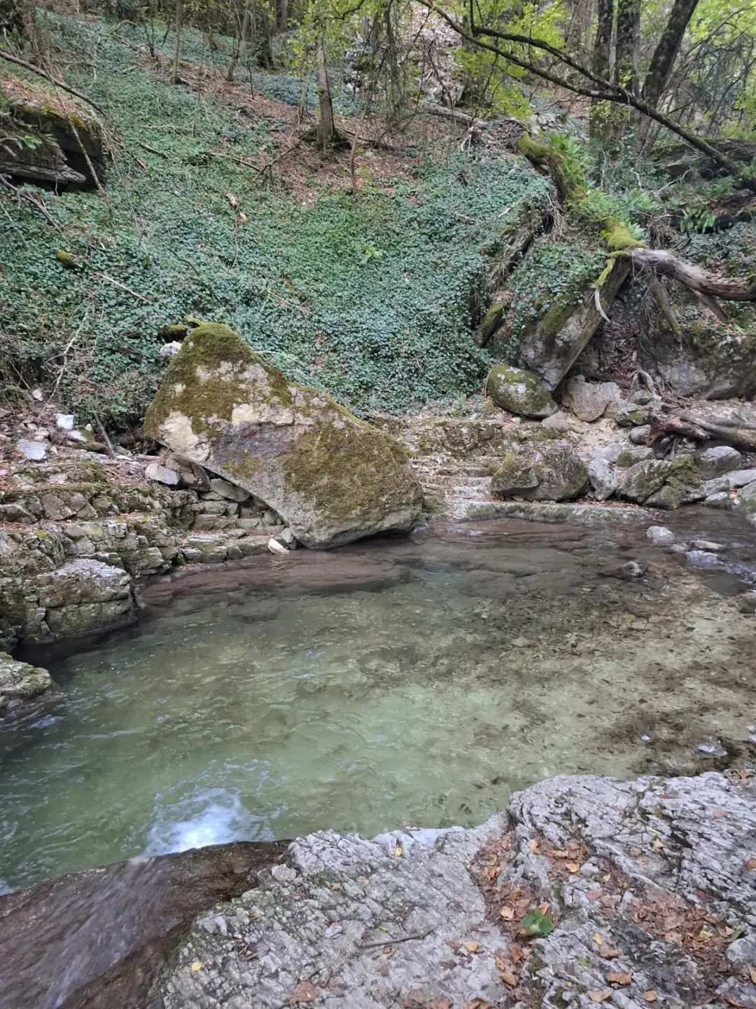 Furon baignade